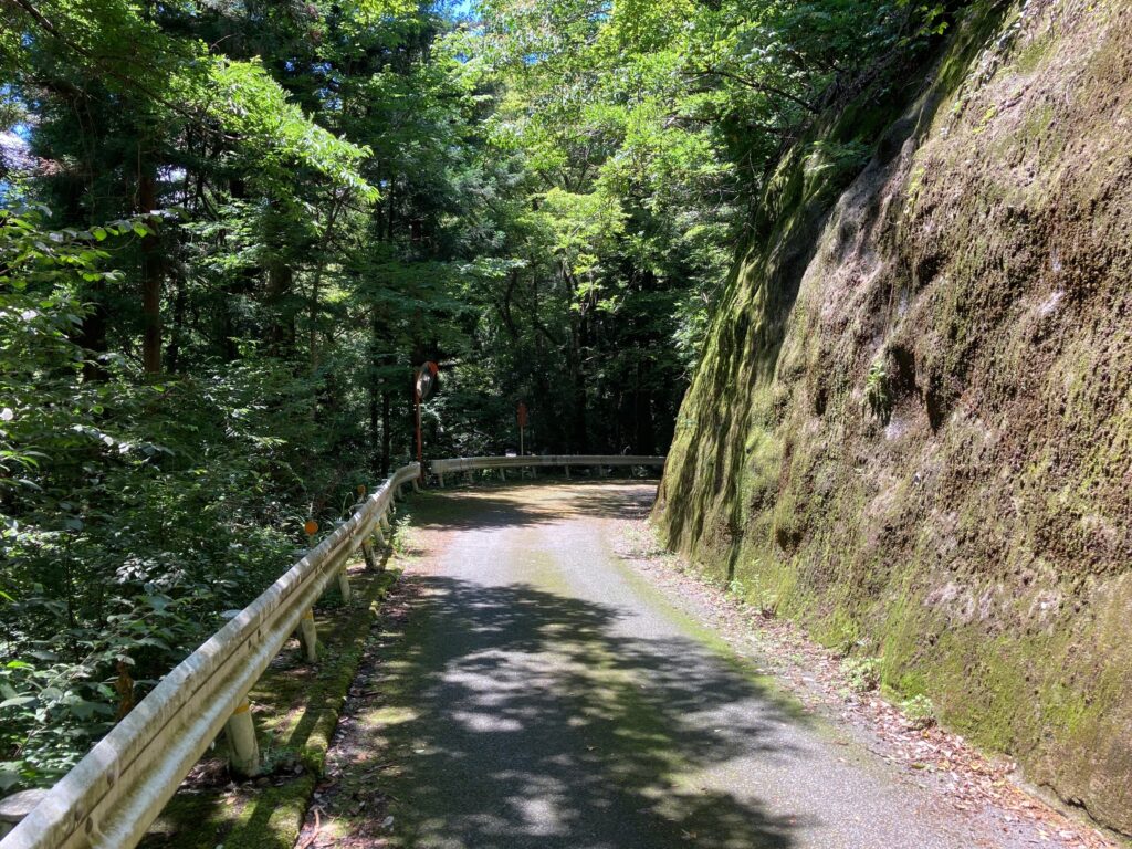 奥多摩湖へと続く道