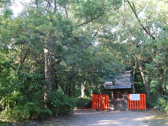 Nakaragi Forest's image 1