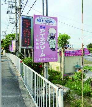 EMアイスクリーム(MILK HOUSE)