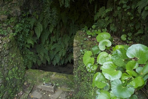 中城城跡 大井戸(ウフガー)