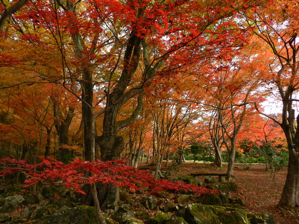 紅葉園