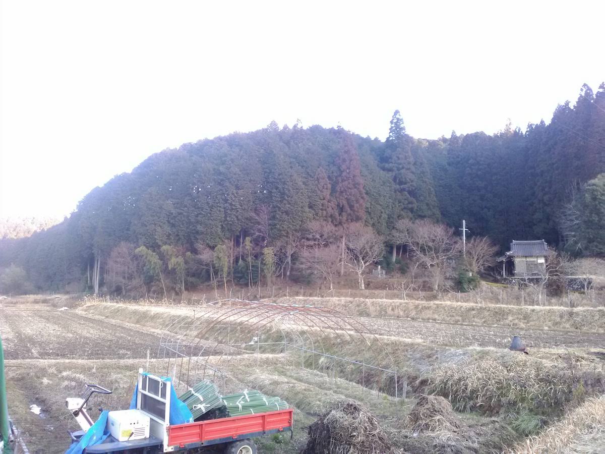 Nishinono Castle Ruins