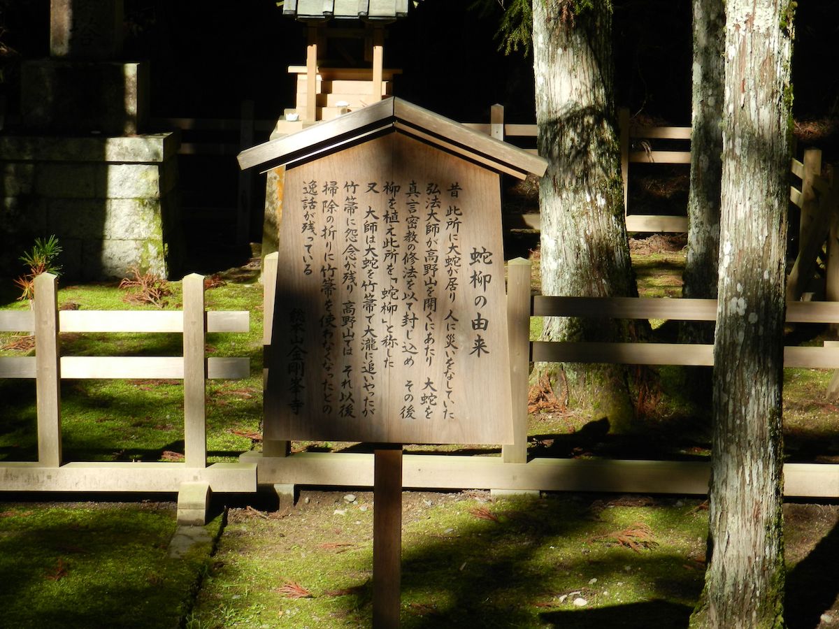 蛇柳（じゃやなぎ）