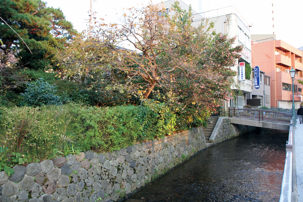 West Outer Moat (part of Kuratsuki Waterway)