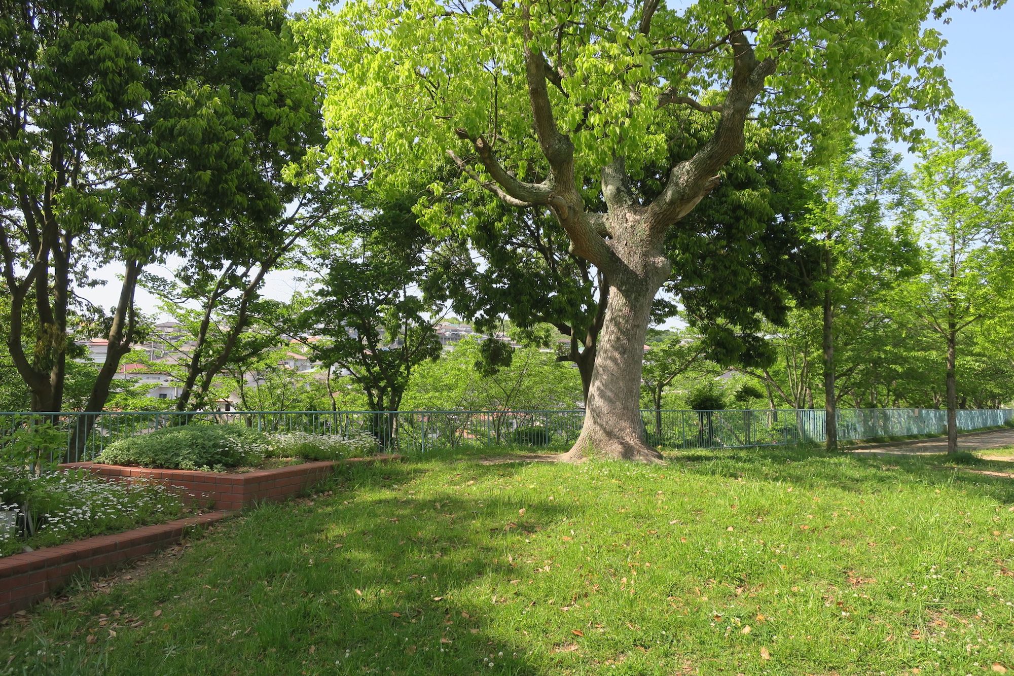 つつじが丘公園