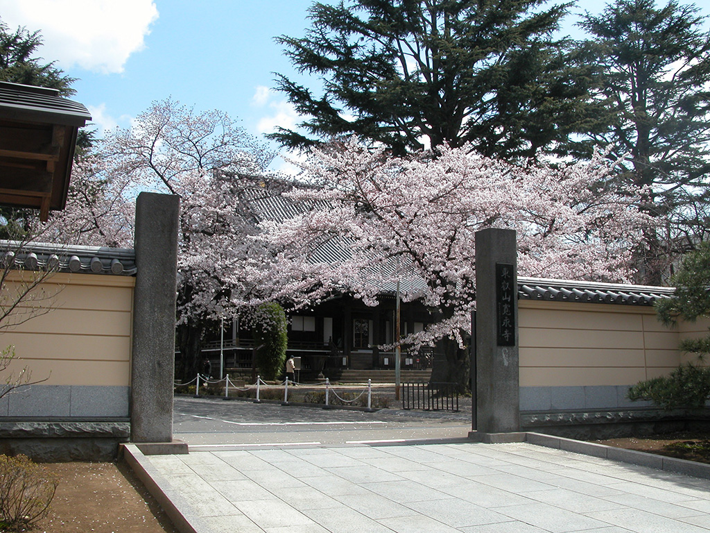 寛永寺's image 1