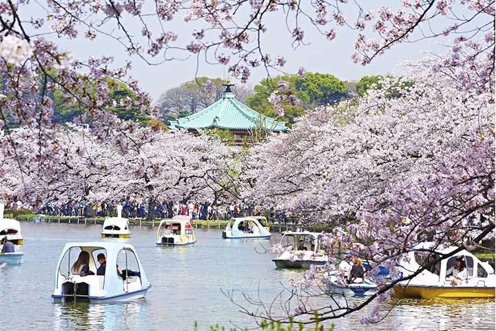 上野恩賜公園's image 1