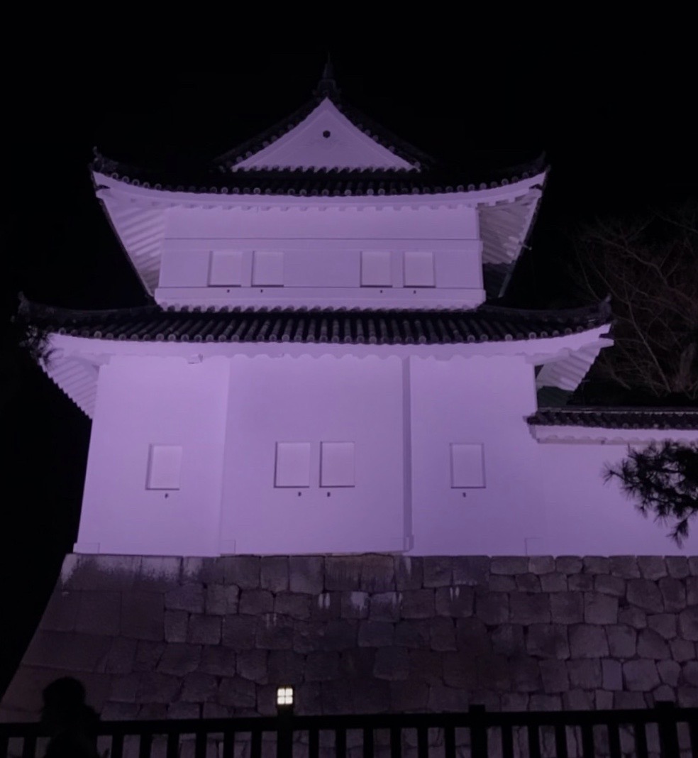 城壁のライトアップ's image 1