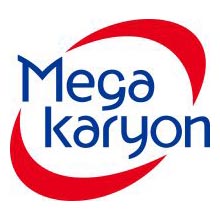 株式会社メガカリオン