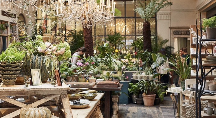 Petersham Nurseries. Beautiful garden centre with a restaurant, tea room and shop selling the most gorgeous homewares's image 1