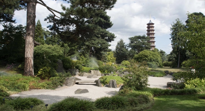 Kew Gardens. A large botanic garden with many interesting places to visit including the newly restored Great Pagoda.'s image 1