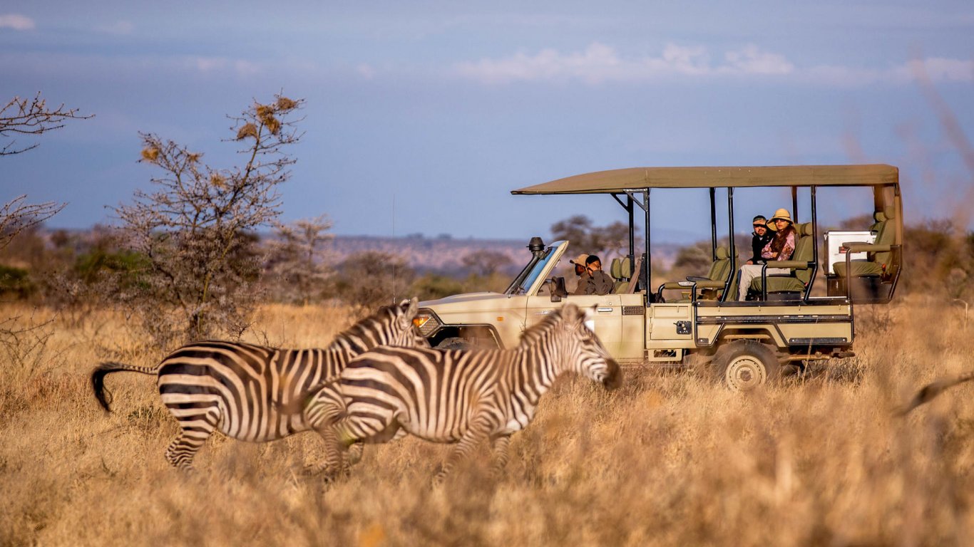 Safari in Selous Game Reserve's image 1