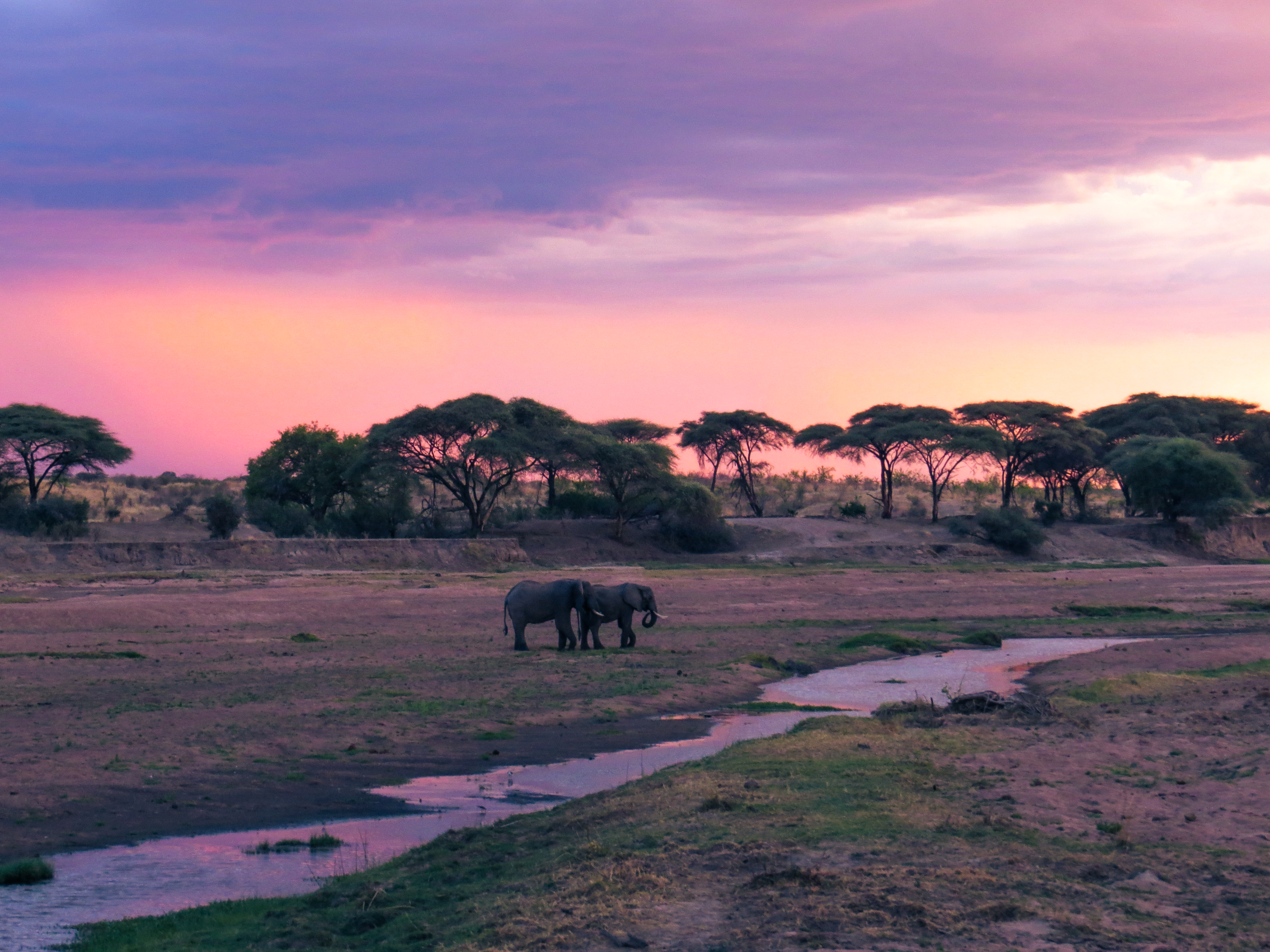 Ruaha National Park's image 1