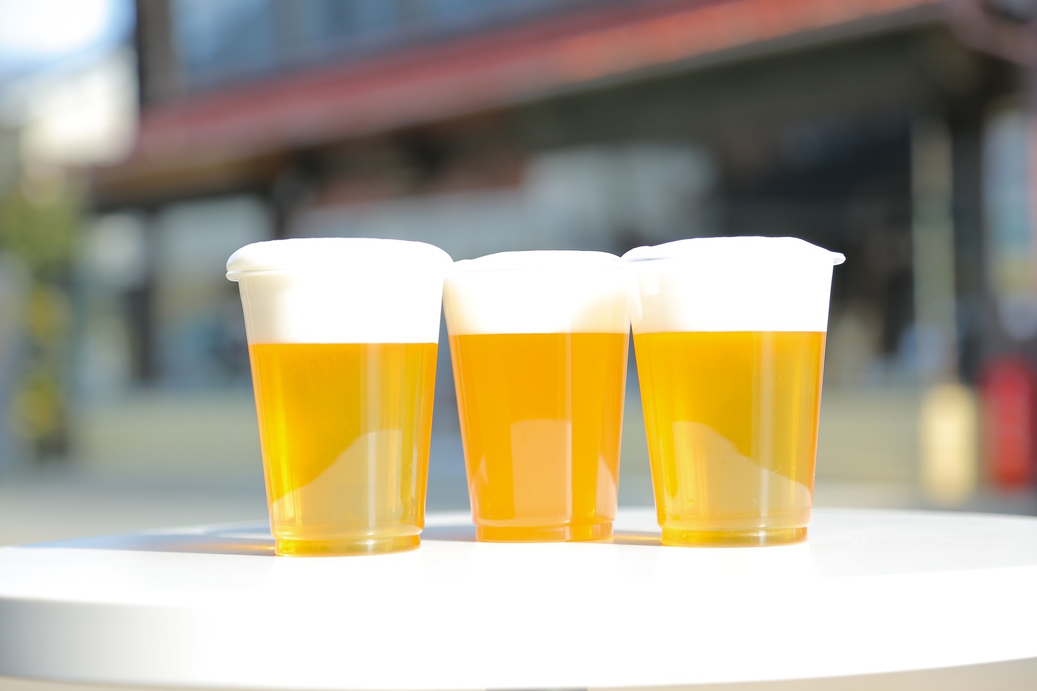 ③犬山ローレライ麦酒館 丸の内店