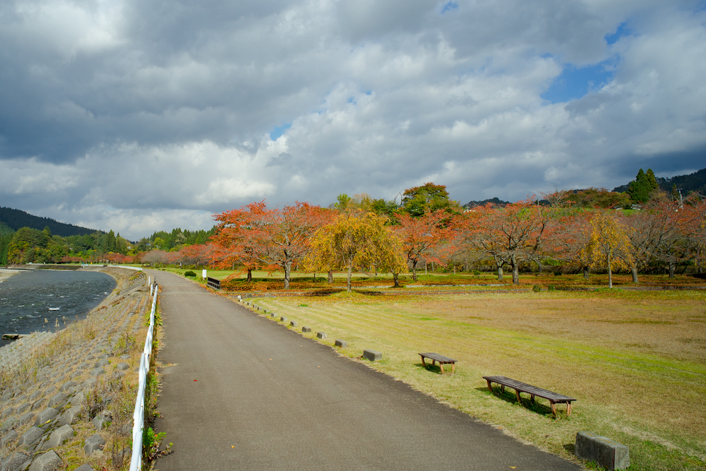 河川公園