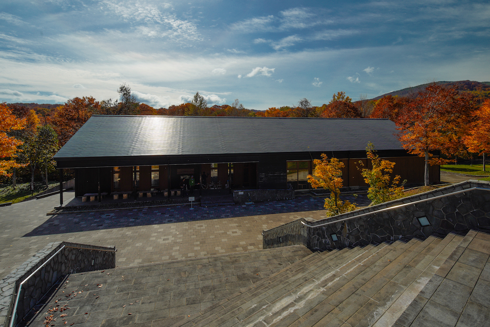 野生鳥獣センター