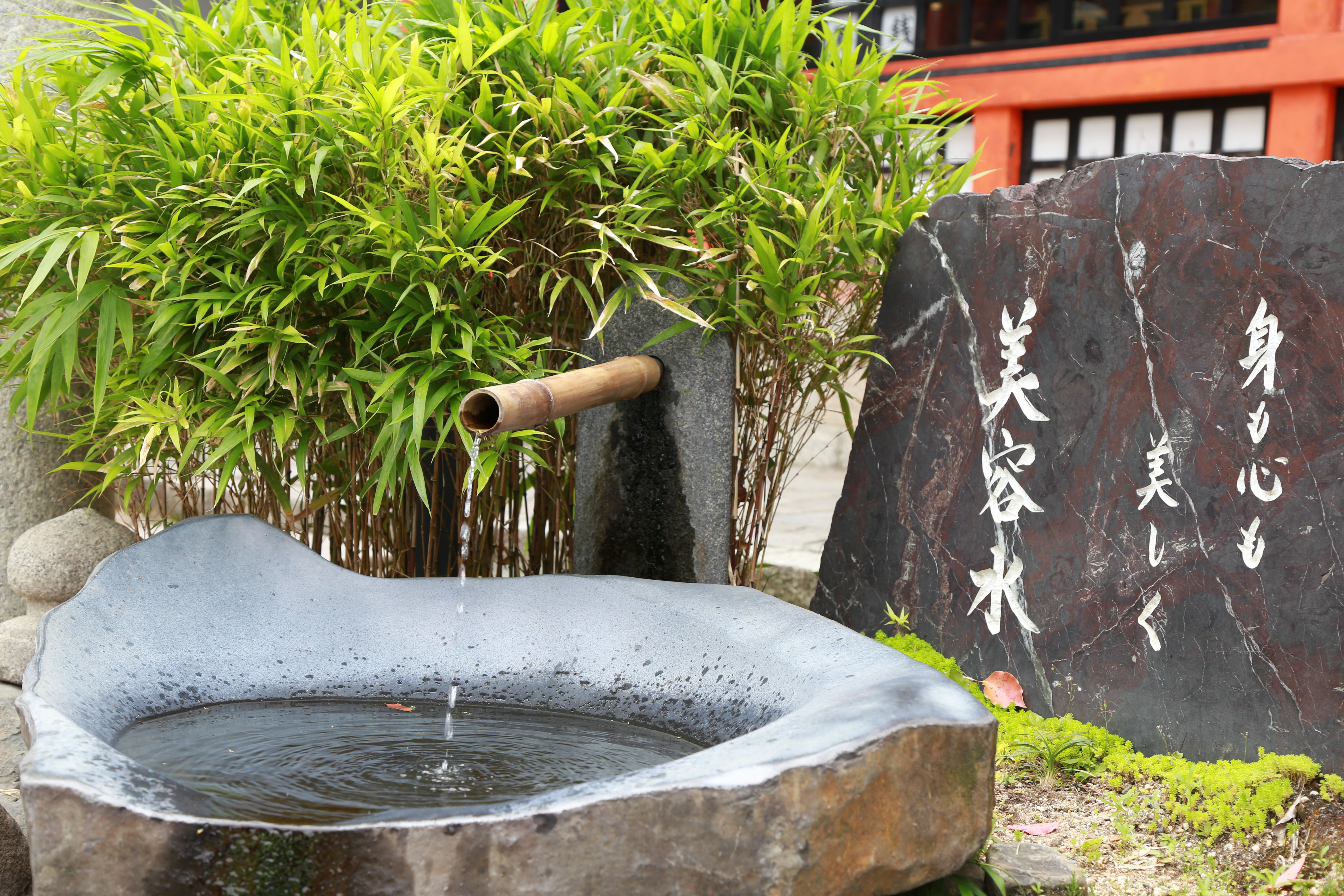 Yasaka-jinja Shrine's image 2