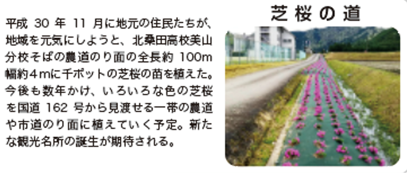 芝桜の道's image 1