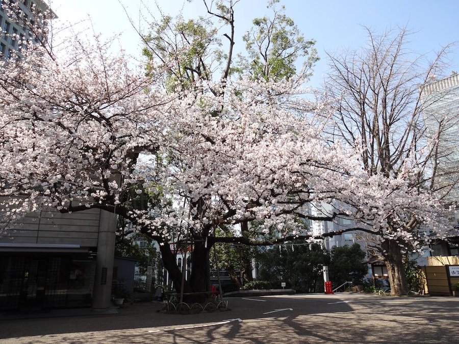 日枝神社's image 1