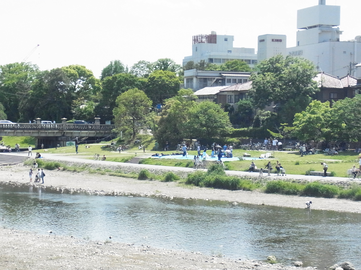東京で例えられない鴨川's image 1