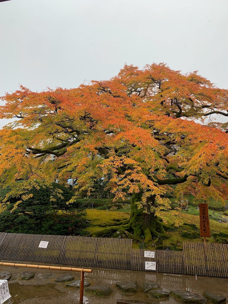 8番西善寺 さいぜんじ