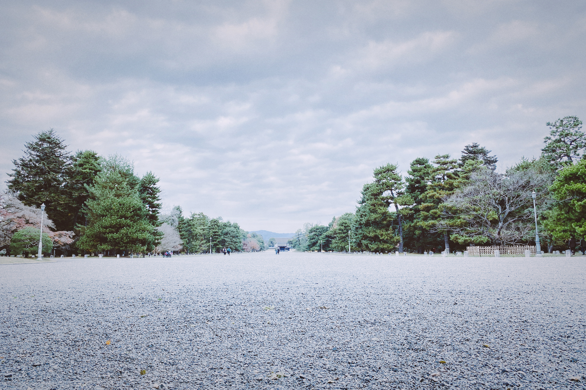 しかもなんか鳥も来るし、非日常みたいな。そういうのがいいなって思う。