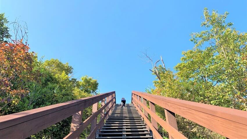 海と星の見える丘公園
