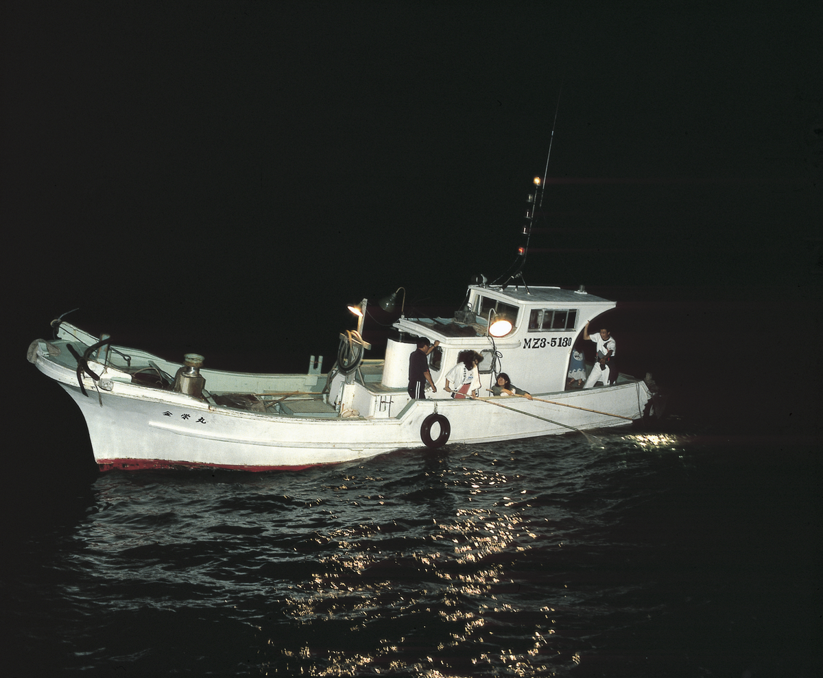 観光とび魚すくい