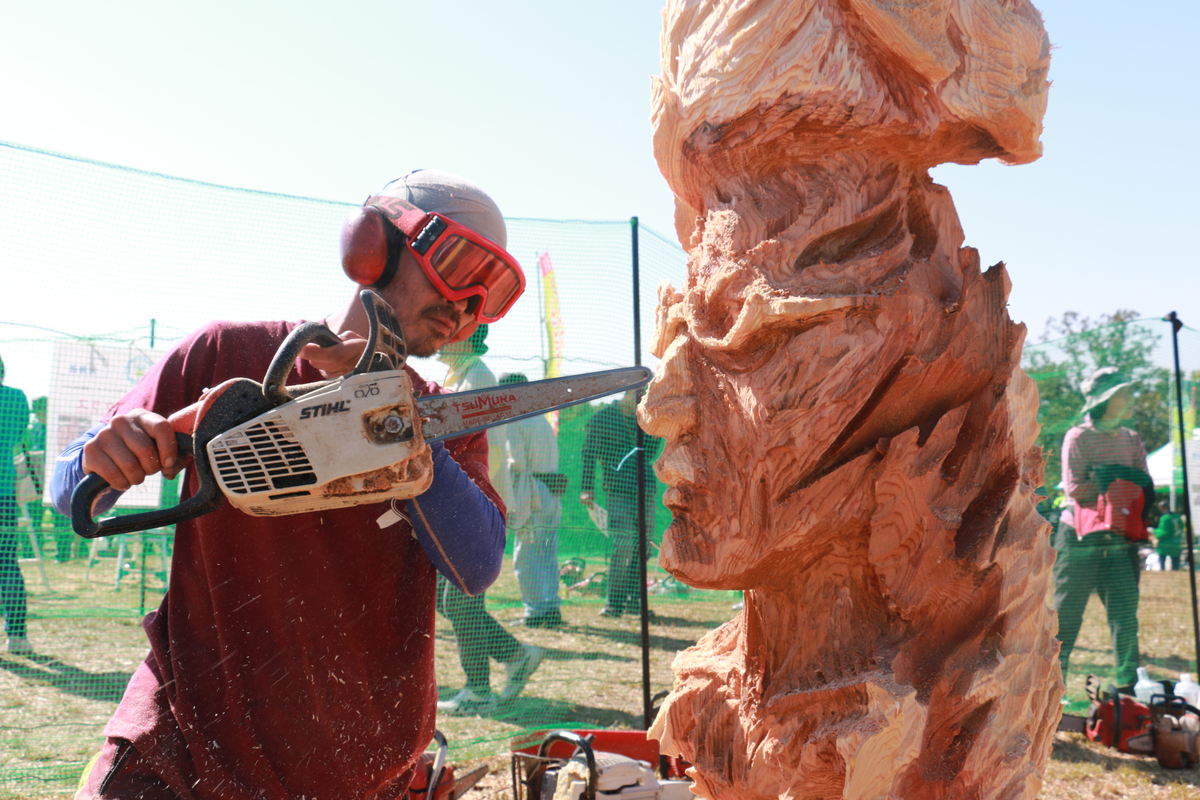 みつけてみて！