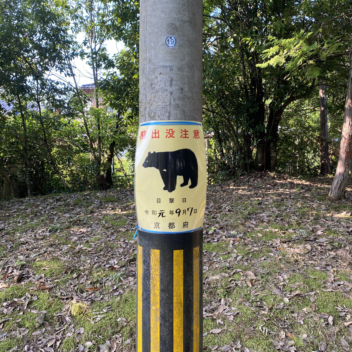 Beware of Bears