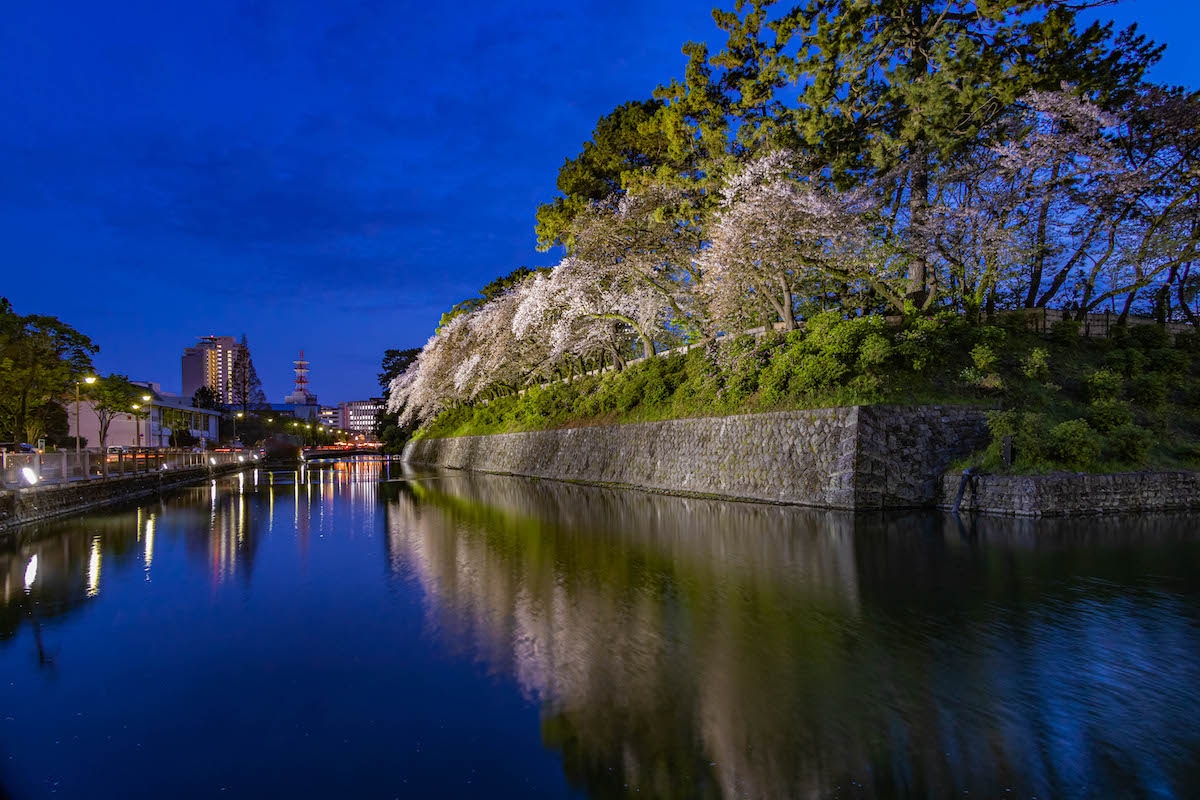駿府城(駿府城公園)