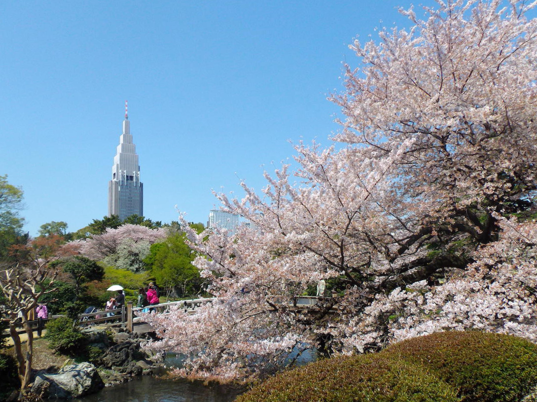 Shinjuku Gyoen