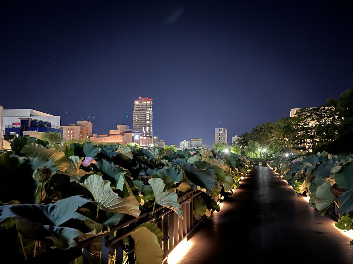 大手門の遊歩道 / Otemon Moat Walkway's image 1