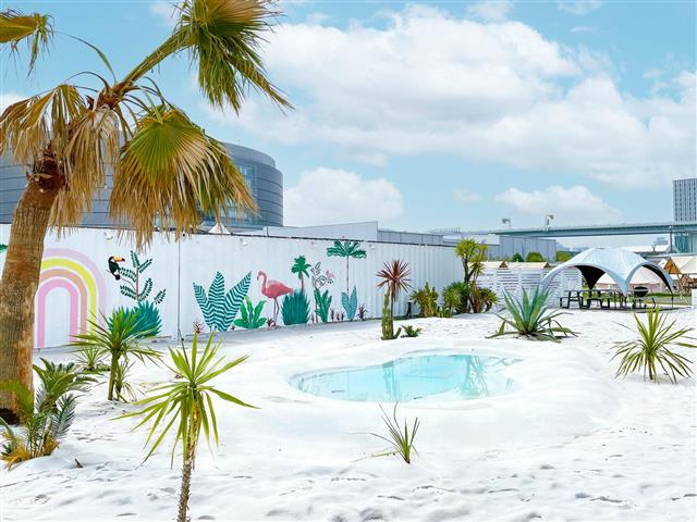 WILD MAGIC -The Rainbow Farm-