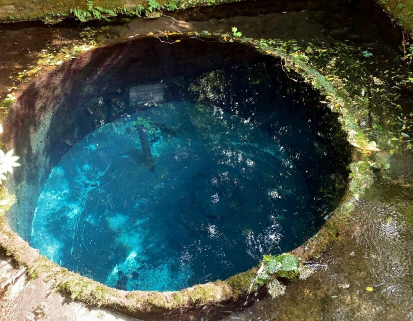 柿田川公園（かきたがわこうえん）