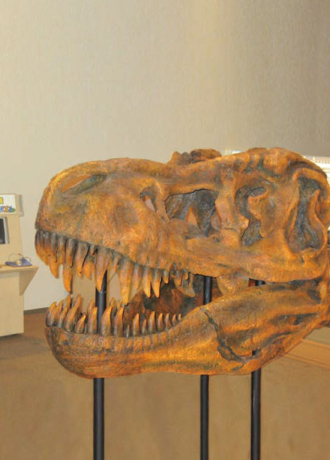 白山恐竜パーク白峰