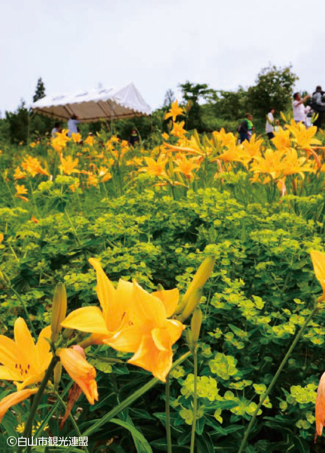白山高山植物園