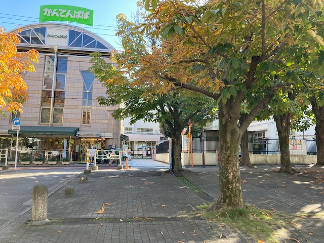 学校直結の公園's image 1