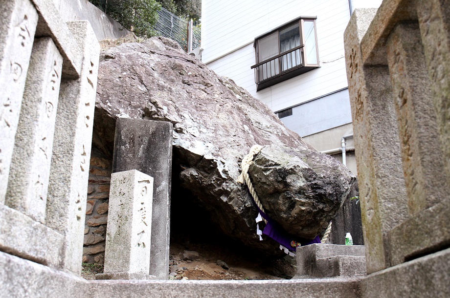 どんがめっさん