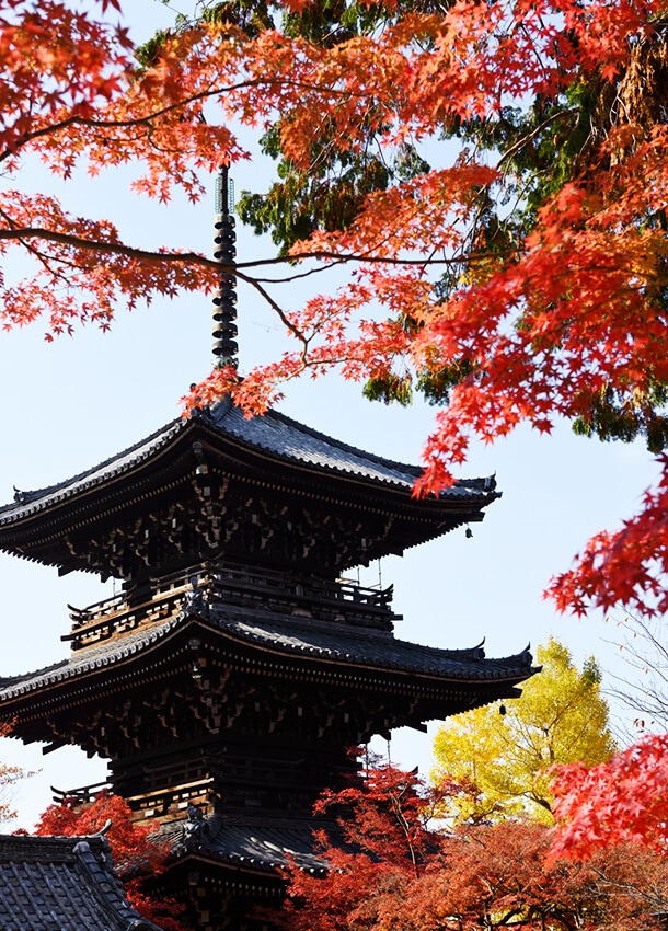 鈴聲山 真正極楽寺 真如堂