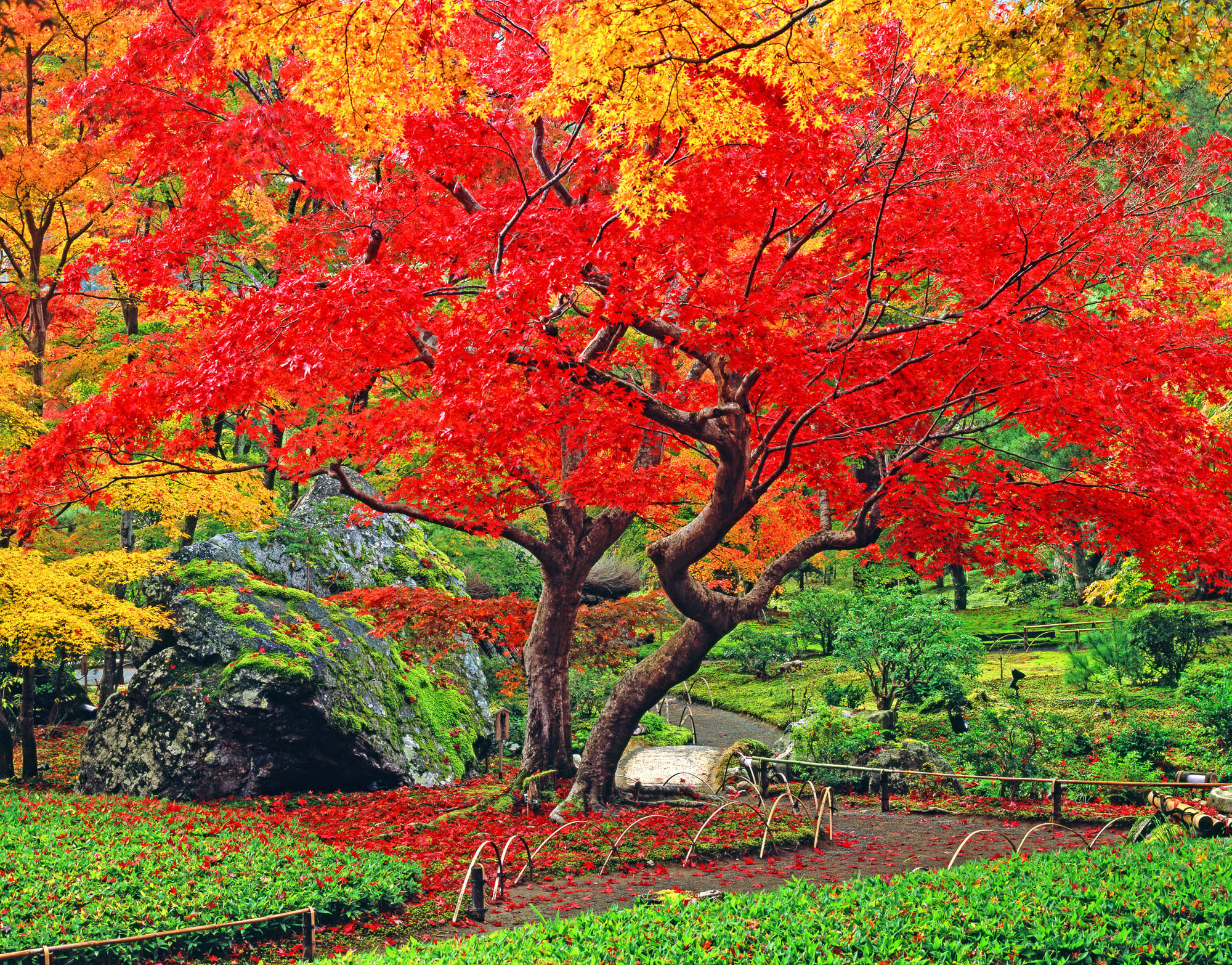 大本山天龍寺塔頭 宝厳院