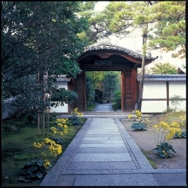 京都東山 高台寺 圓徳院