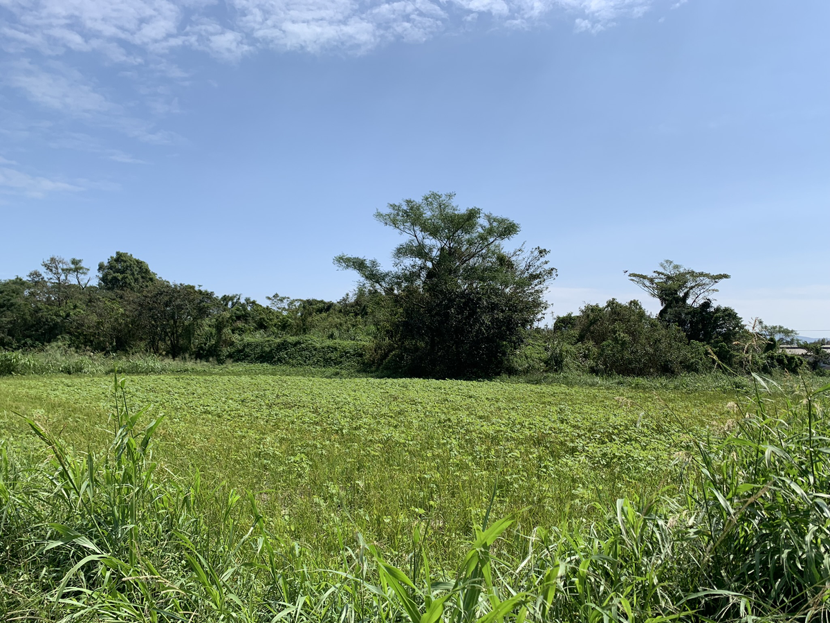串良航空基地建設時のズリ