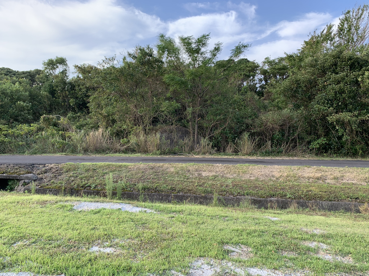 基地内に見える掩体壕