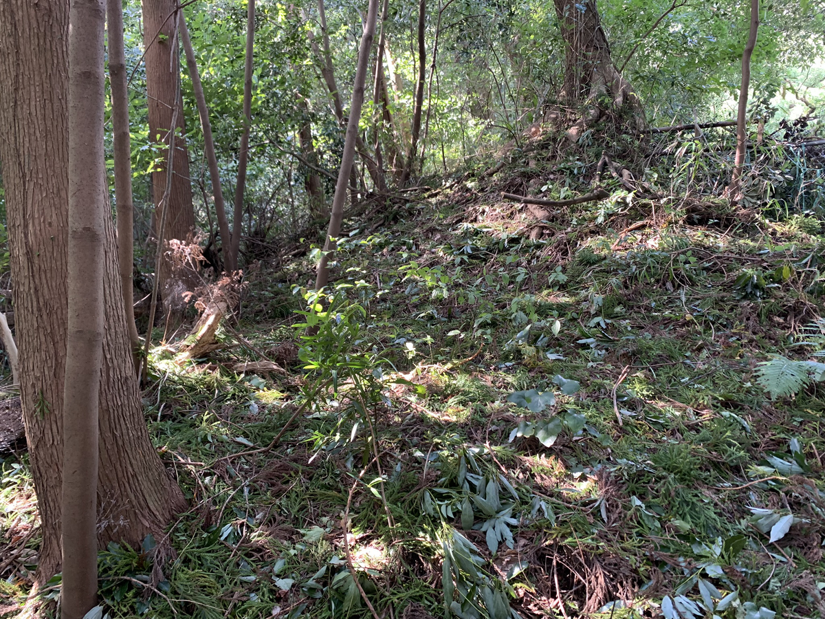 今坂町一帯の戦争遺跡