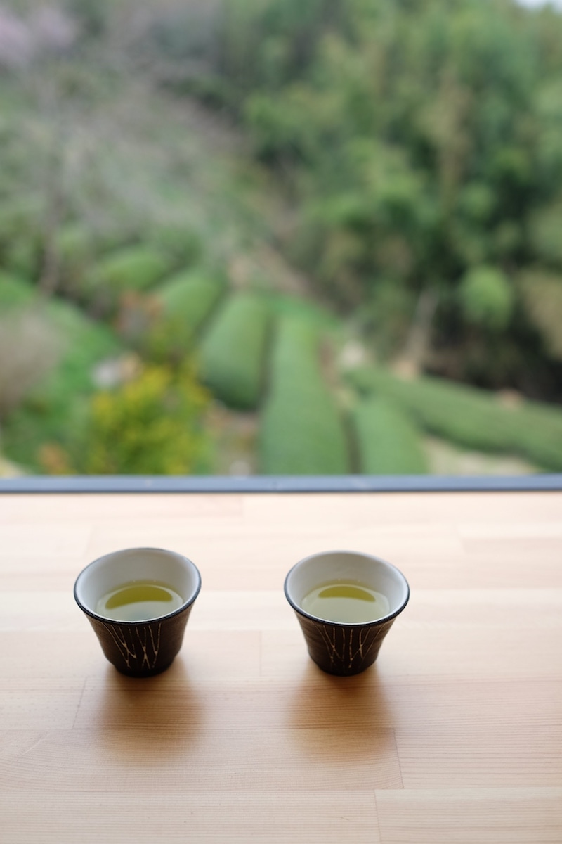 ティーファーム井ノ倉