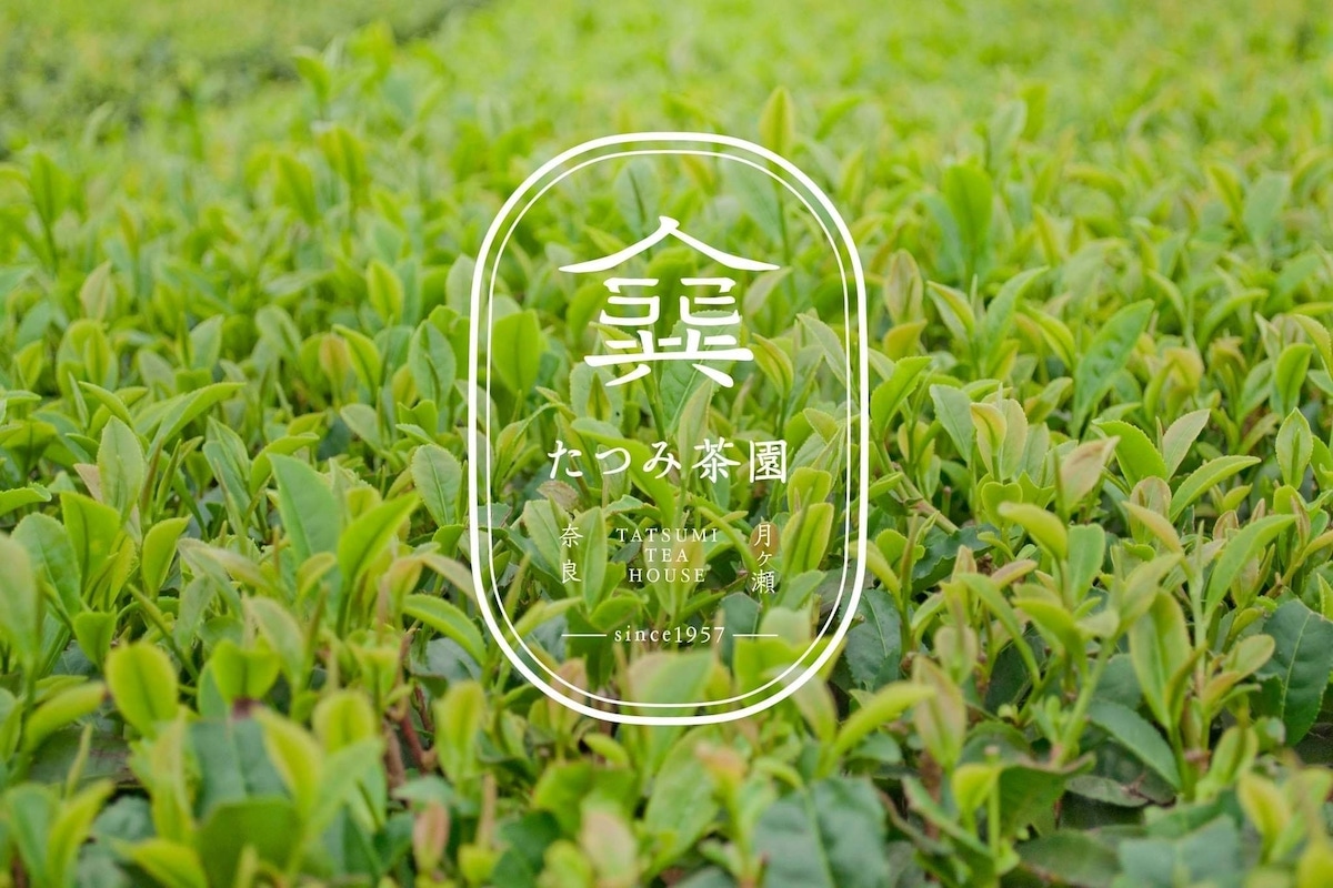 たつみ茶園