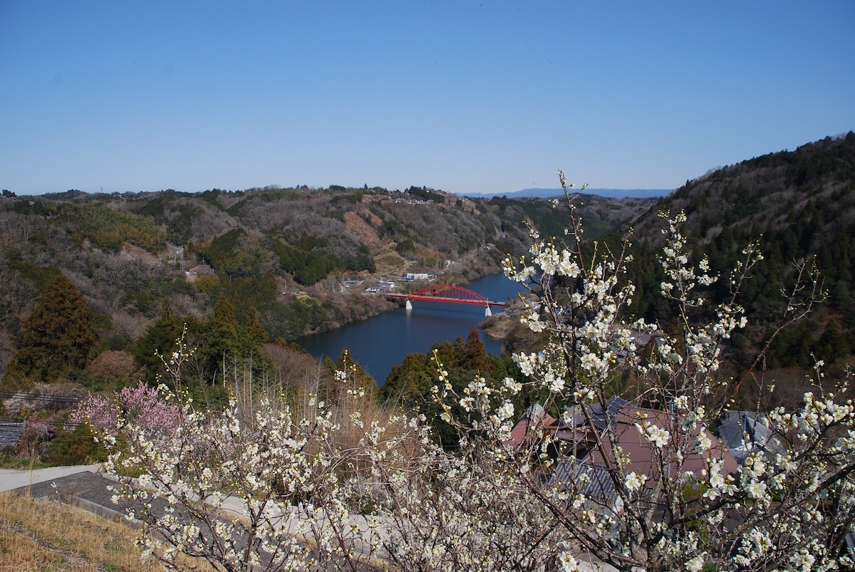 風の道公園 展望台
