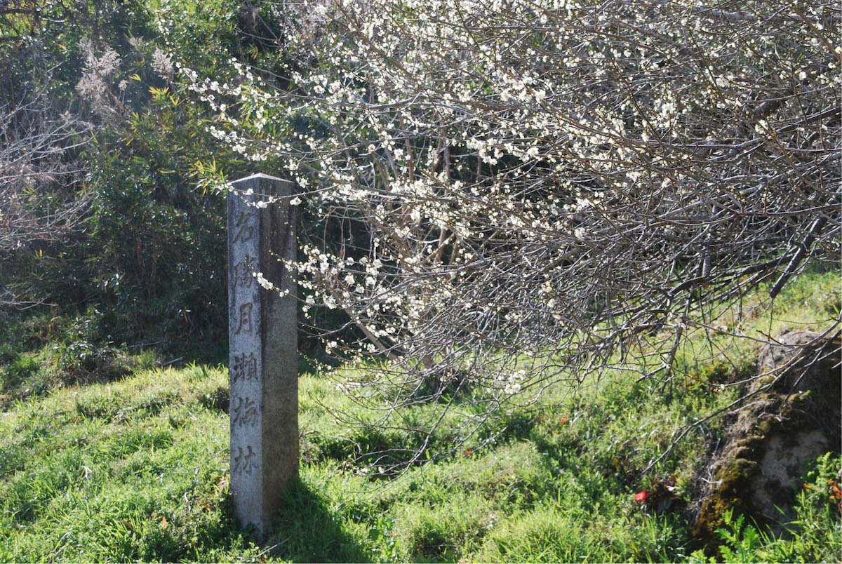 2つの橋が見える雲景山