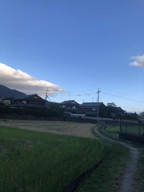 田舎ながらの通り道's image 1